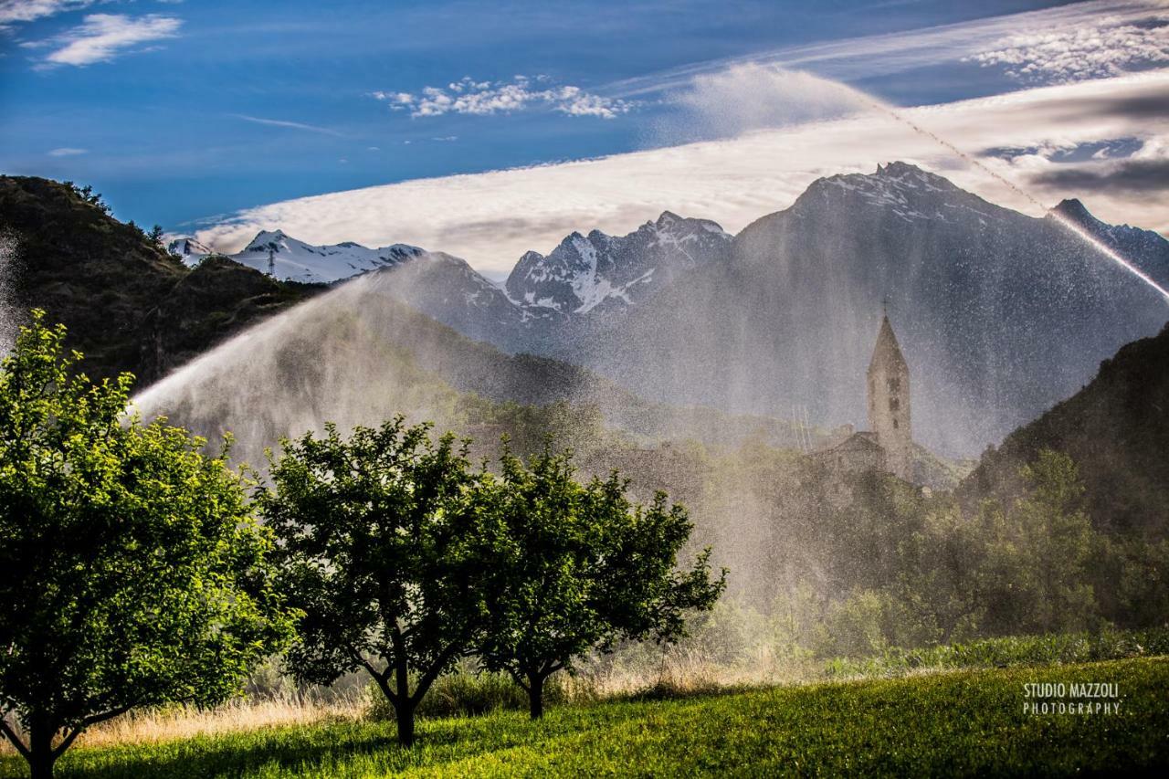 Aosta Quality Apartments Dış mekan fotoğraf